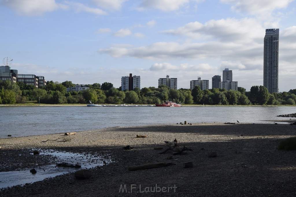 Schiff 1 Koeln in Hoehe der Koelner Zoobruecke P005.JPG - Miklos Laubert